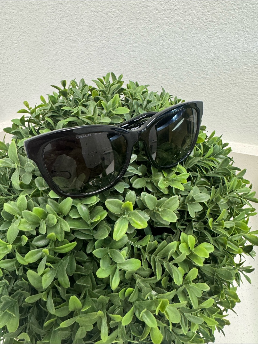 Coach Black Sunglasses with Dark Lenses